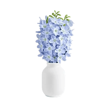 Ivory Blossom Radiance