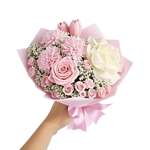 Pastel Pink Roses