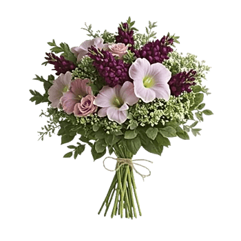 Modern White Orchids