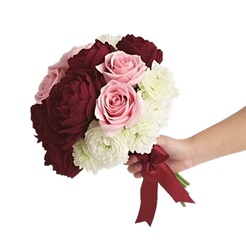 Blushing Rose Symphony