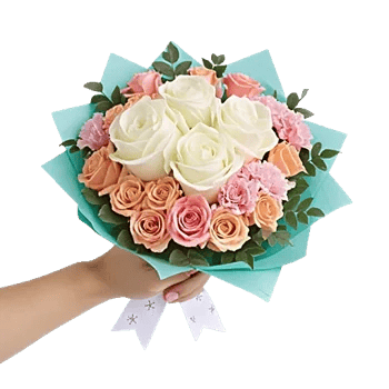 Pastel Pink Roses