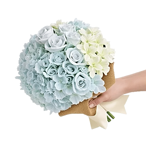 Serene Petal Harmony