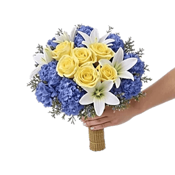 Blossom Harmony Display