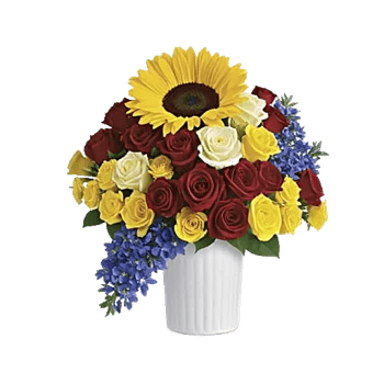 Radiant Bloom Cascade