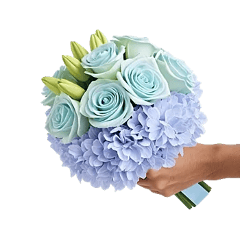 Serene Petal Harmony