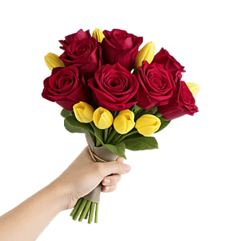 Crimson Rose Elegance