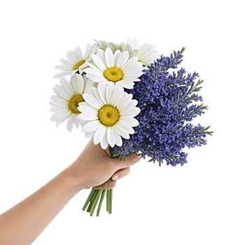 Blossom Petal Serenity