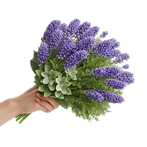 Lavender Bloom Grace