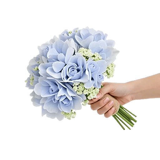 Serene Petal Harmony