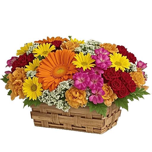 Vibrant Orange Delight