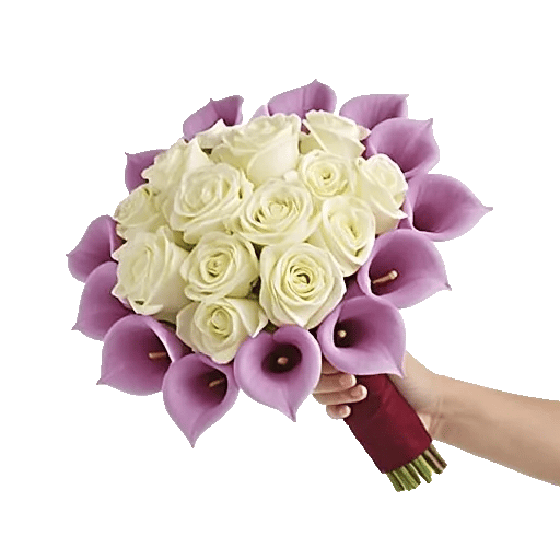 Elegant Calla Lilies