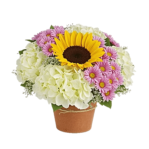 Amber Sunflower Glow