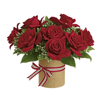 Crimson Rose Elegance