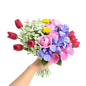 Blossom Harmony Display