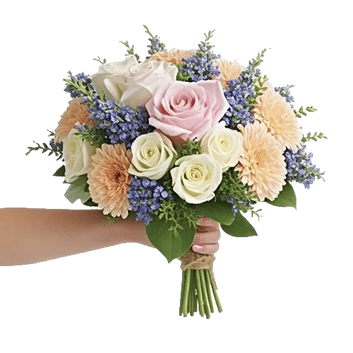 Pastel Pink Roses
