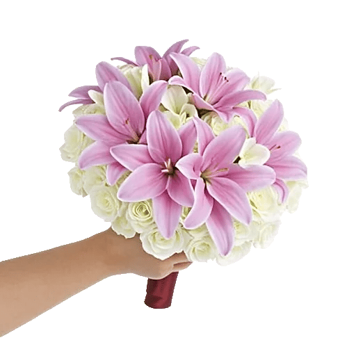 Elegant Calla Lilies