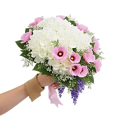 Serene Petal Harmony