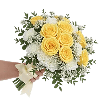 Blushing Rose Symphony