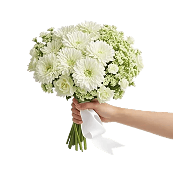 Ivory Garden Grace