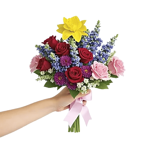 Blossom Harmony Display