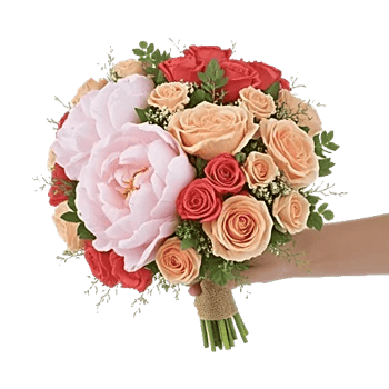 Peony Petal Harmony