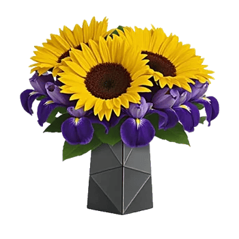 Radiant Bloom Cascade