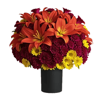 Crimson Blossom Harmony