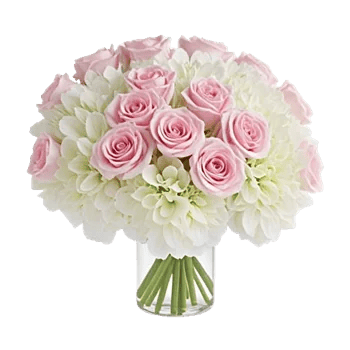 Ivory Blossom Radiance