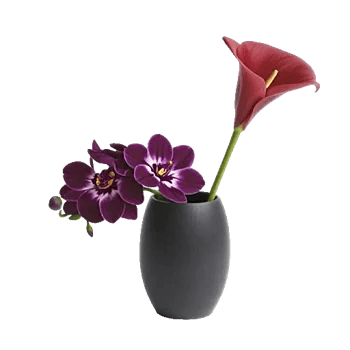 Elegant Calla Lilies
