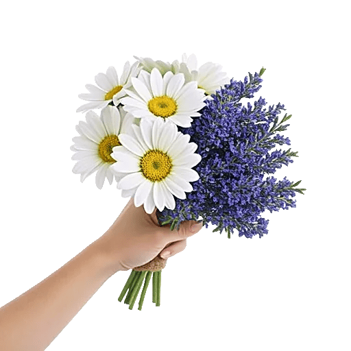 Blossom Petal Serenity