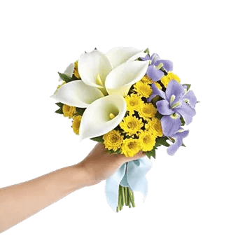 Elegant Calla Lilies