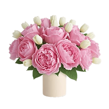 Peony Petal Harmony