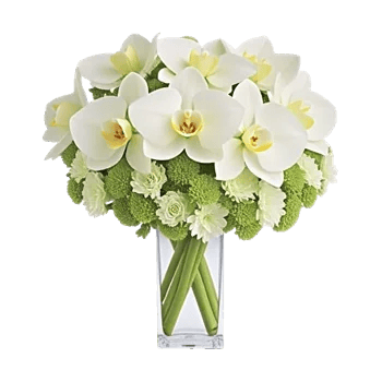 Orchid Bloom Cascade