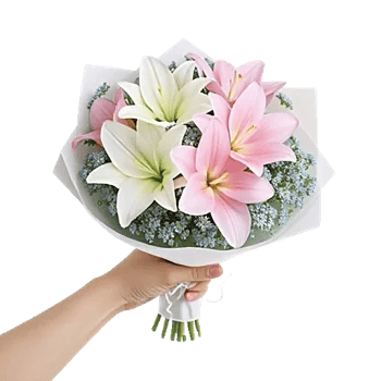 Blossom Petal Serenity