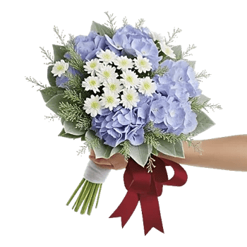 Blossom Petal Serenity