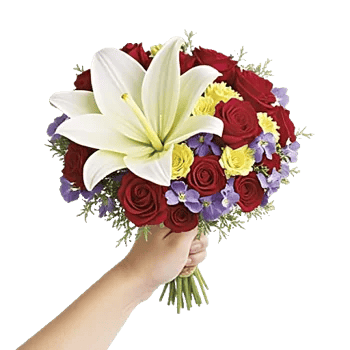 Blossom Harmony Display