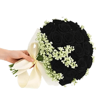 Ivory Garden Grace