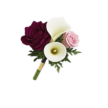 Elegant Calla Lilies