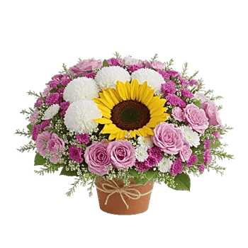 Amber Sunflower Glow