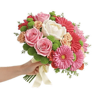 Blushing Rose Symphony