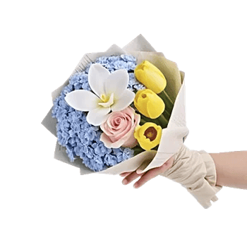 Serene Petal Harmony