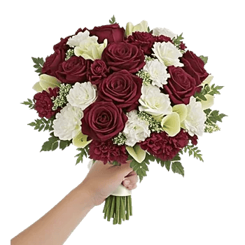 Delicate Petal Cascade