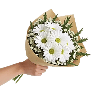 Delicate Petal Cascade