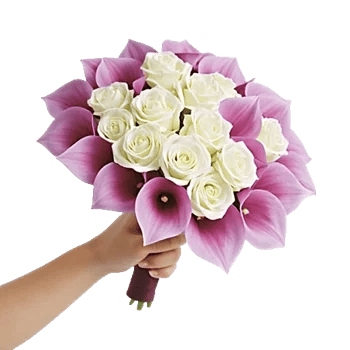 Elegant Calla Lilies