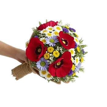 Blossom Petal Serenity