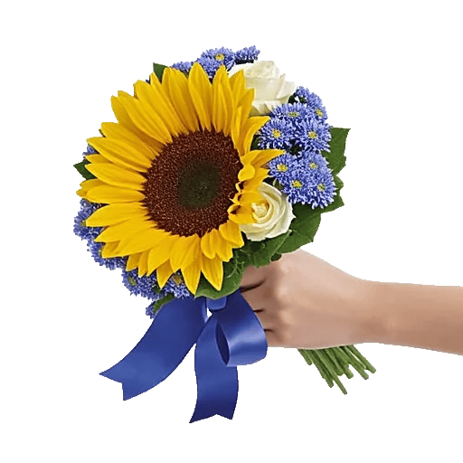 Twinkling Sunflower Dance