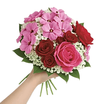 Ivory Blossom Radiance