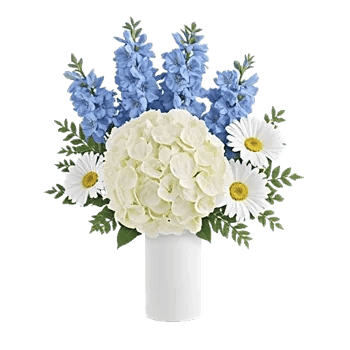 Ivory Blossom Radiance