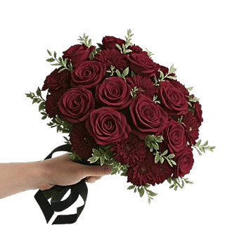 Crimson Rose Elegance