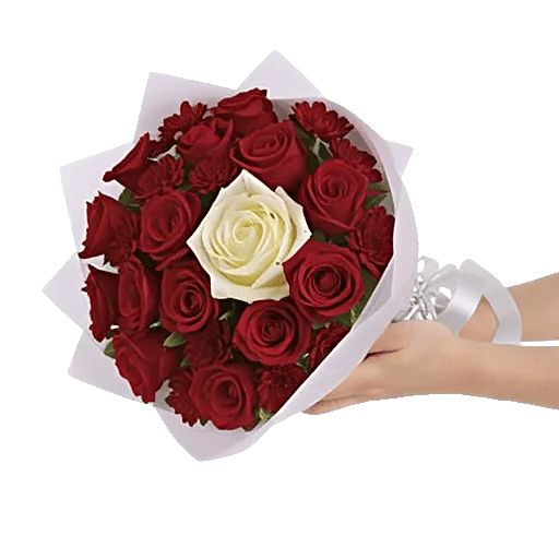 Crimson Rose Elegance